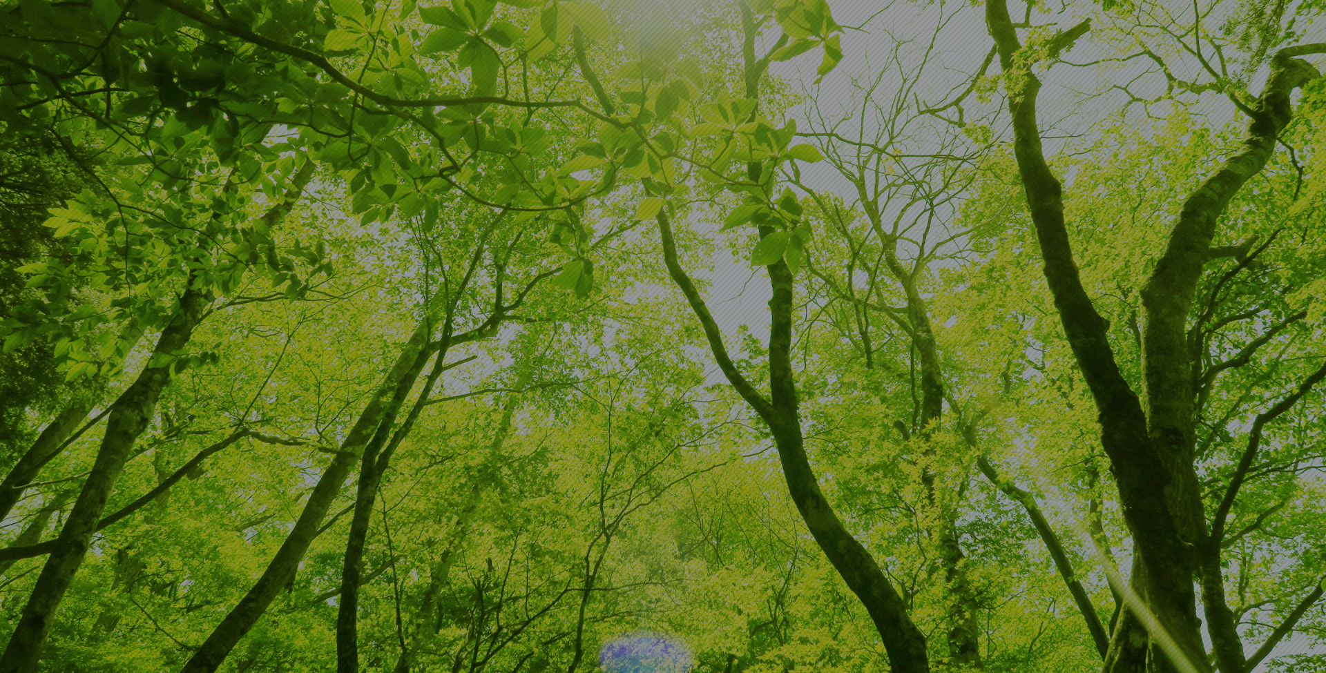 株式会社南双クリーン産業