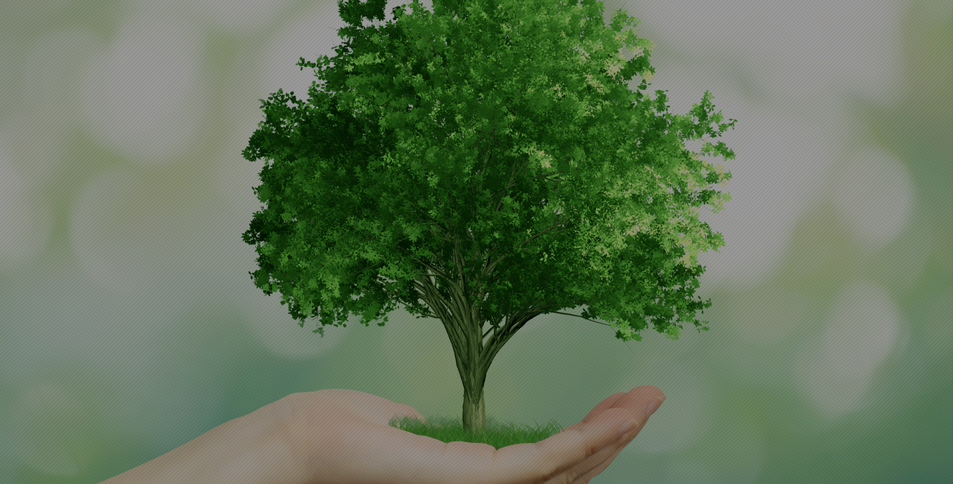 株式会社南双クリーン産業