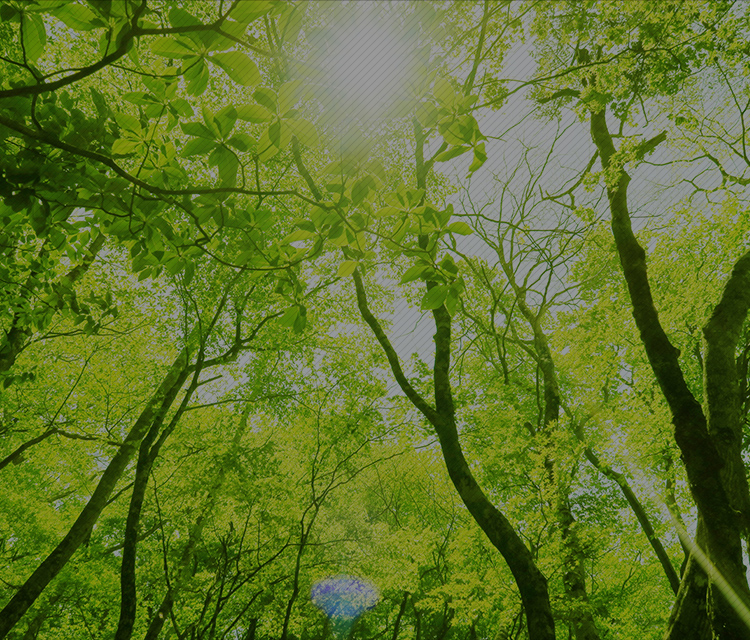 株式会社南双クリーン産業