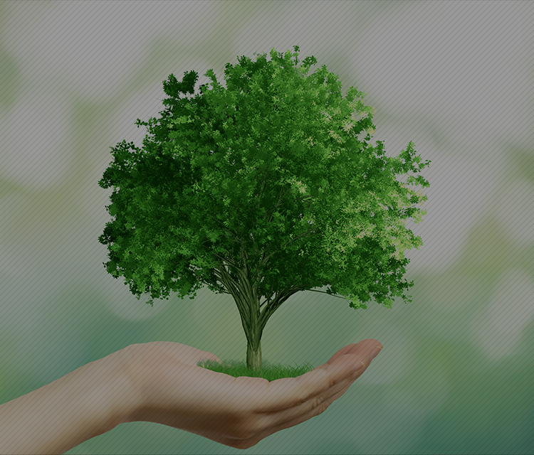 株式会社南双クリーン産業